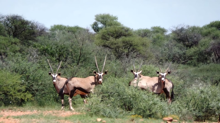 Commercial Property for Sale in Barkly West Rural Northern Cape